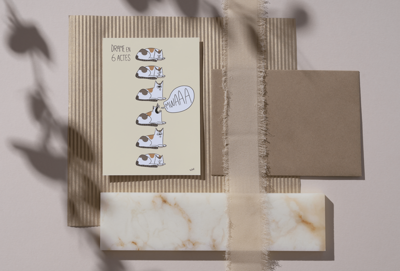 2 Mockup Drame Chat Calico Min