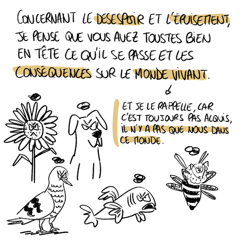 Chronique Canicule  (3)
