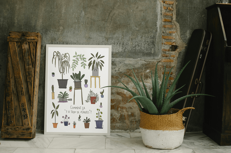 6 Mockup Plantes Affiche 1 Min