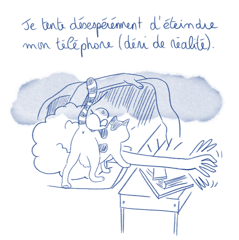 Les Problèmes  (3)