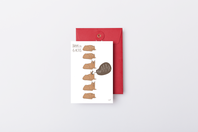 4 Mockup Drame Chat Roux Min