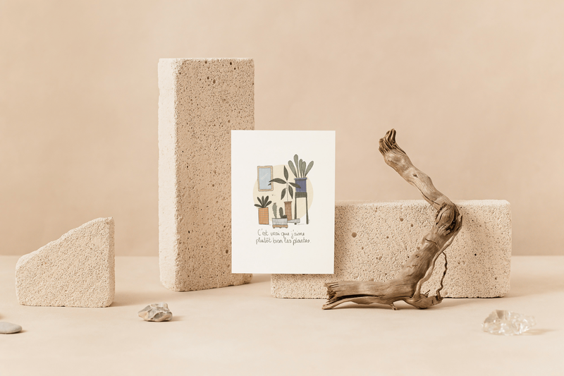 2 Mockup Plantes 2 Cp Min