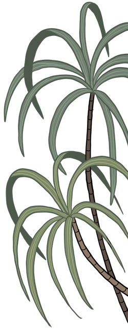 Twister plant